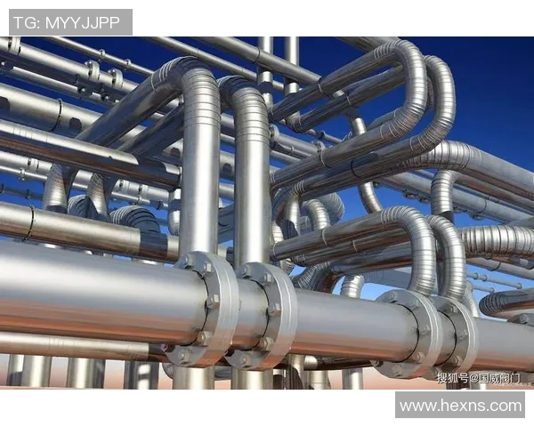 水管阀门的选择与维护技巧解析 提升家庭用水安全与效率 水管阀门的选择与维护技巧解析 提升家庭用水安全与效率